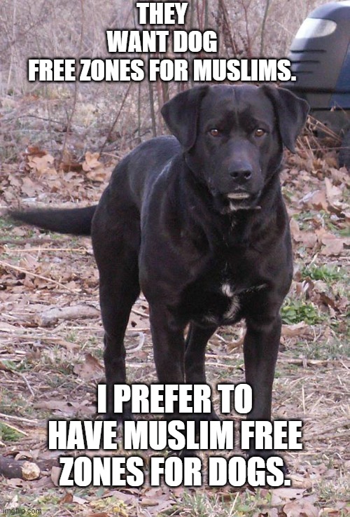 Muslim free zone | THEY WANT DOG FREE ZONES FOR MUSLIMS. I PREFER TO HAVE MUSLIM FREE ZONES FOR DOGS. | image tagged in muslim free zone | made w/ Imgflip meme maker