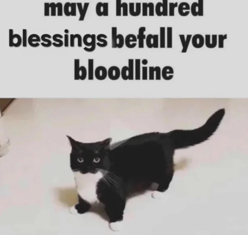 May a hundred blessings befall your bloodline Blank Meme Template