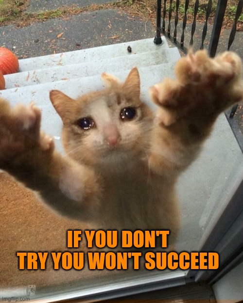 If you don't try you won't succeed | IF YOU DON'T TRY YOU WON'T SUCCEED | image tagged in try,effort,success | made w/ Imgflip meme maker