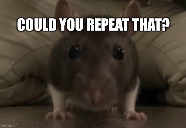 COULD YOU REPEAT THAT? | made w/ Imgflip meme maker