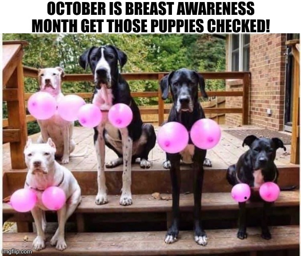 October Is Breast Awareness Month Get Those Puppies Checked! | OCTOBER IS BREAST AWARENESS MONTH GET THOSE PUPPIES CHECKED! | image tagged in chrisjoines1 | made w/ Imgflip meme maker