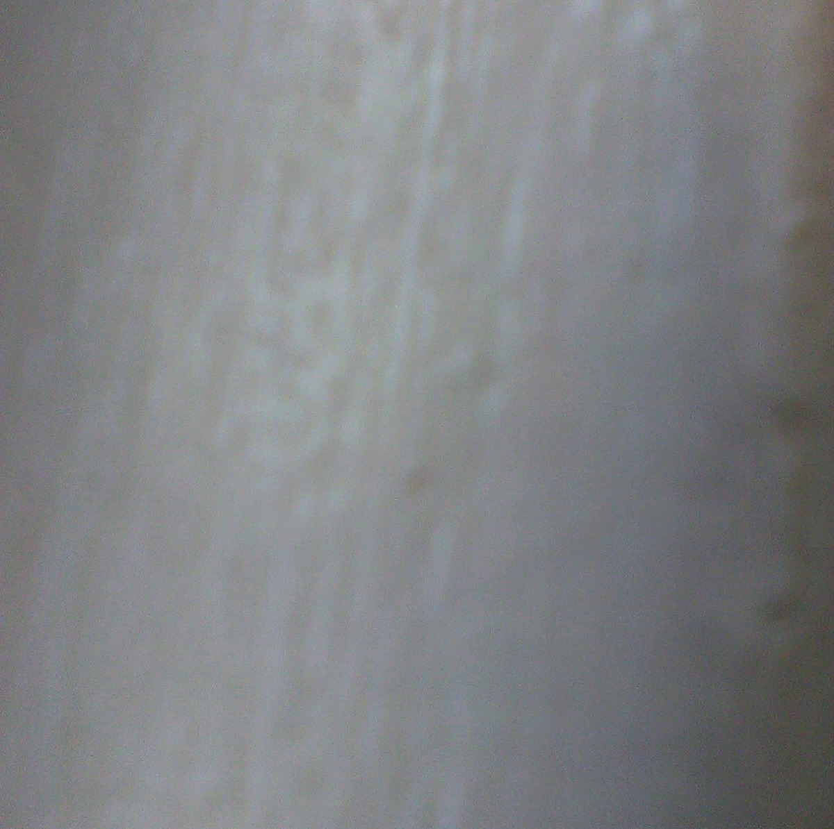 wall at my house Blank Meme Template