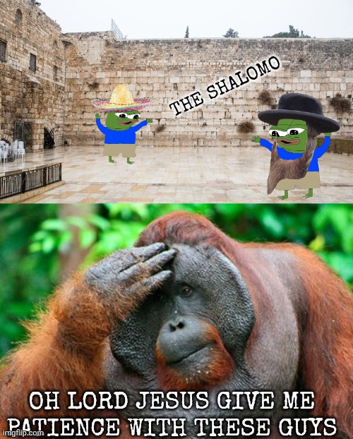 israel meme | THE SHALOMO; OH LORD JESUS GIVE ME PATIENCE WITH THESE GUYS | image tagged in facepalm orangutan | made w/ Imgflip meme maker