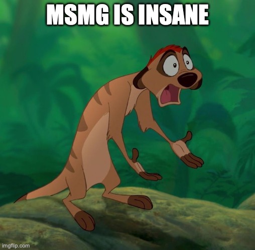 Timon exasperated | MSMG IS INSANE | image tagged in timon exasperated | made w/ Imgflip meme maker