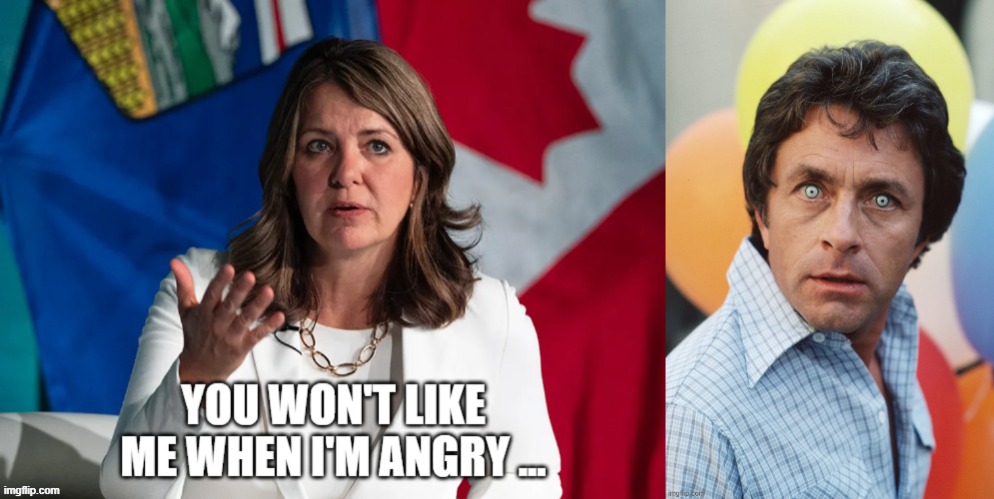 canadian politics | image tagged in political meme | made w/ Imgflip meme maker
