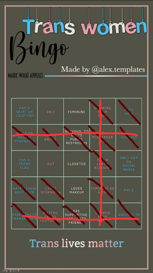 image tagged in trans bingo | made w/ Imgflip meme maker