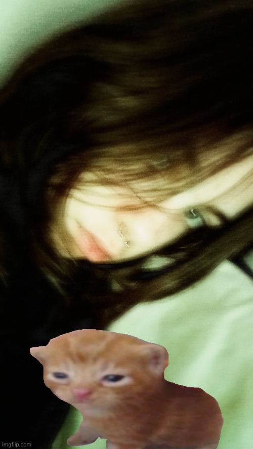 Meow | made w/ Imgflip meme maker