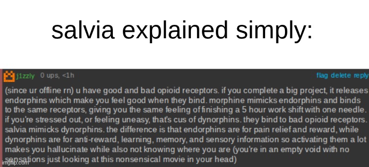 salvia explained simply: | made w/ Imgflip meme maker