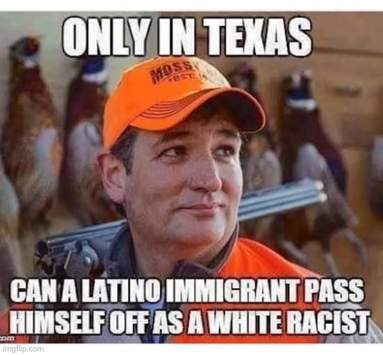Cruz | image tagged in ted cruz,cancun ted | made w/ Imgflip meme maker