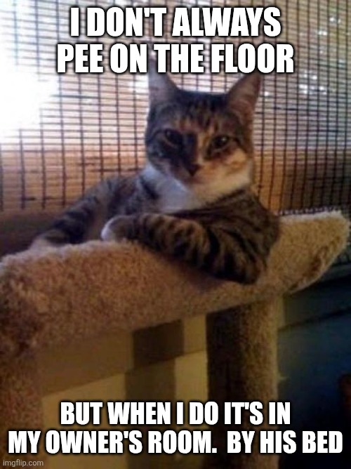 I don't always pee | I DON'T ALWAYS PEE ON THE FLOOR; BUT WHEN I DO IT'S IN MY OWNER'S ROOM.  BY HIS BED | image tagged in memes,the most interesting cat in the world,funny memes | made w/ Imgflip meme maker
