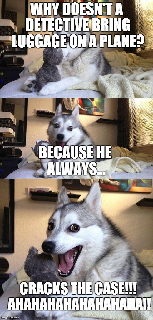 Bad Pun Dog | WHY DOESN'T A DETECTIVE BRING LUGGAGE ON A PLANE? BECAUSE HE ALWAYS... CRACKS THE CASE!!! AHAHAHAHAHAHAHAHA!! | image tagged in memes,bad pun dog | made w/ Imgflip meme maker