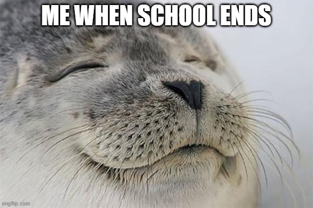 When school ends be like | ME WHEN SCHOOL ENDS | image tagged in memes,satisfied seal | made w/ Imgflip meme maker