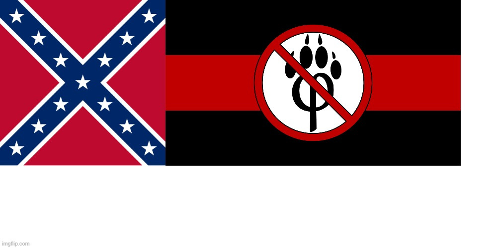 confederate anti furry flag Blank Meme Template