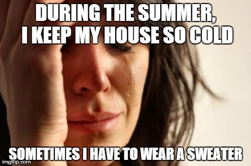 First World Problems | DURING THE SUMMER, I KEEP MY HOUSE SO COLD SOMETIMES I HAVE TO WEAR A SWEATER | image tagged in memes,first world problems | made w/ Imgflip meme maker