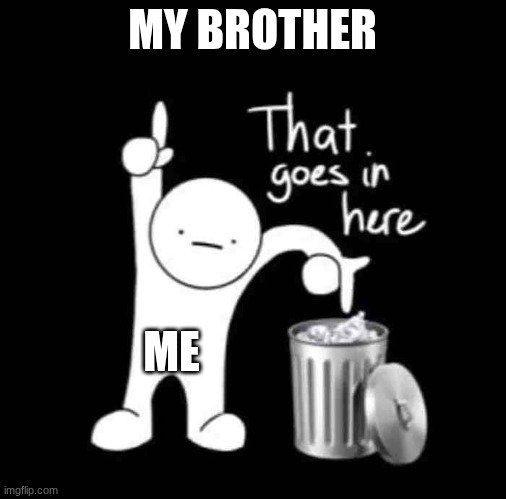 that goes in here | MY BROTHER; ME | image tagged in that goes in here | made w/ Imgflip meme maker