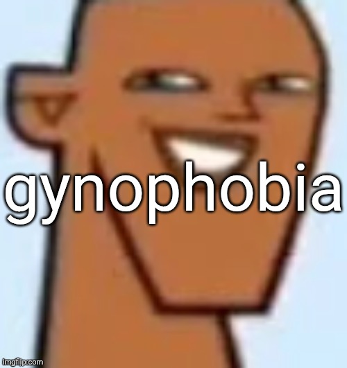 justin | gynophobia | image tagged in justin | made w/ Imgflip meme maker