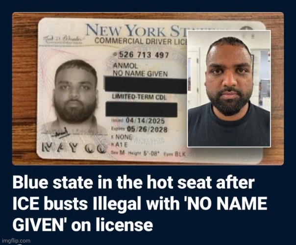 Not even trying to hide anymore | image tagged in new york,task failed successfully,illegal immigration,it's a surprise tool that will help us later,why can't you just be normal | made w/ Imgflip meme maker
