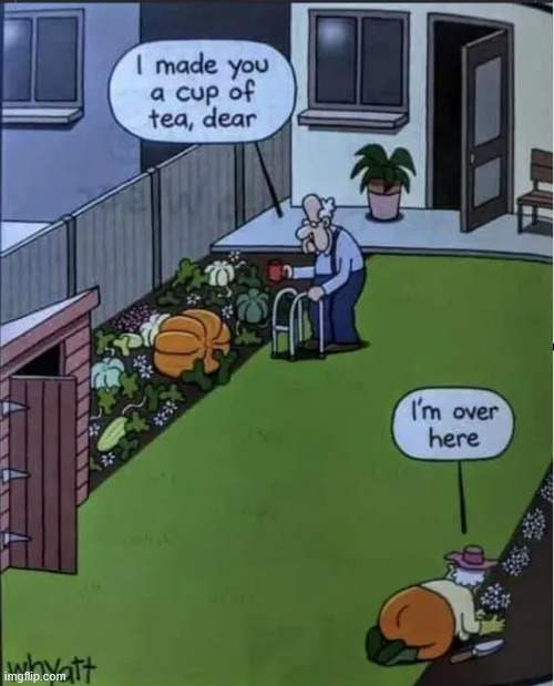Need new glasses | image tagged in reposts,need new glasses | made w/ Imgflip meme maker