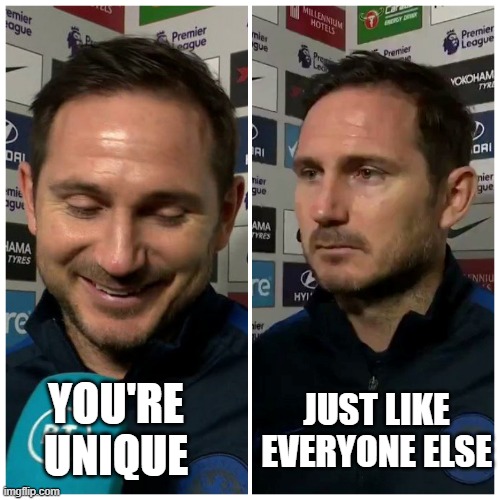 Frank Lampard meme | JUST LIKE EVERYONE ELSE; YOU'RE UNIQUE | image tagged in frank lampard meme | made w/ Imgflip meme maker