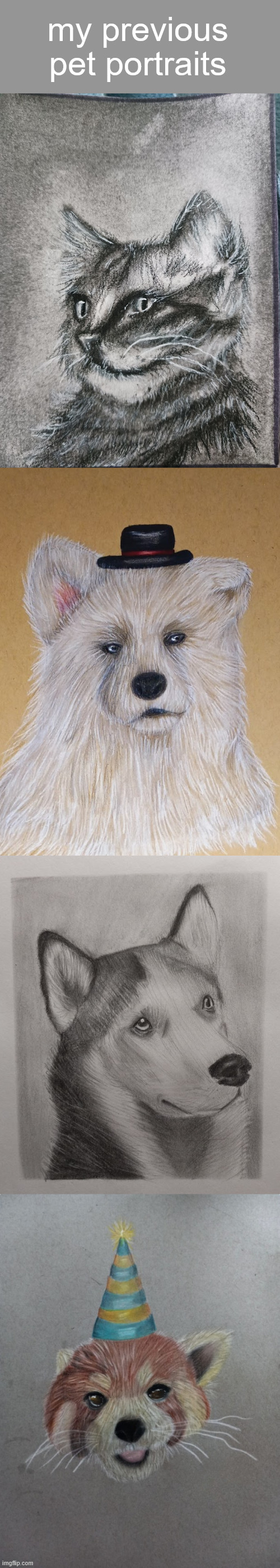 my previous pet portraits | made w/ Imgflip meme maker