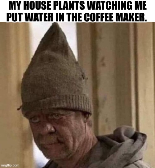 My House Plants Watching Me Put Water In My Coffee Maker. | MY HOUSE PLANTS WATCHING ME PUT WATER IN THE COFFEE MAKER. | image tagged in chrisjoines1 | made w/ Imgflip meme maker