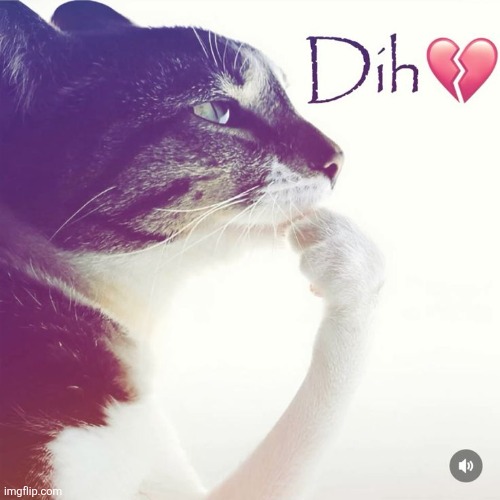 Dih | image tagged in dih | made w/ Imgflip meme maker
