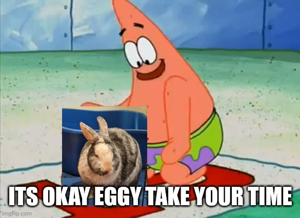 Patrick take your time | ITS OKAY EGGY TAKE YOUR TIME | image tagged in patrick take your time | made w/ Imgflip meme maker