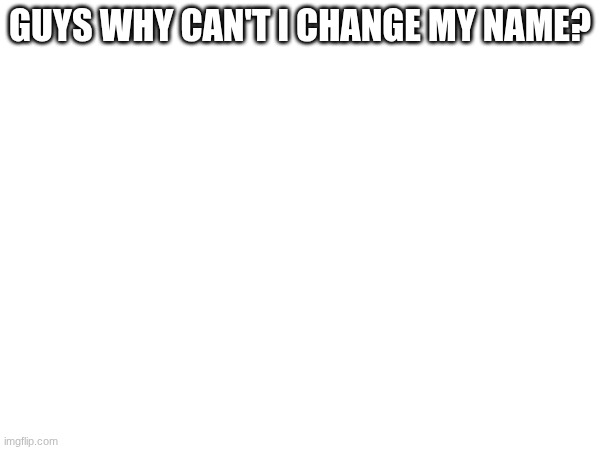 am I cooked? | GUYS WHY CAN'T I CHANGE MY NAME? | made w/ Imgflip meme maker