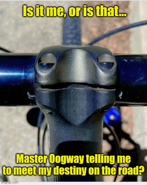 Bicycle Panda | Is it me, or is that... Master Oogway telling me to meet my destiny on the road? | image tagged in master oogway,kung fu panda,bicycle,turtle,face | made w/ Imgflip meme maker