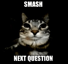 SMASH, NEXT QUESTION Blank Meme Template