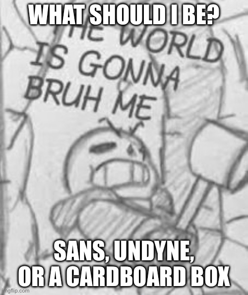 What should I be | WHAT SHOULD I BE? SANS, UNDYNE, OR A CARDBOARD BOX | image tagged in epic sans the world is gonna bruh me | made w/ Imgflip meme maker