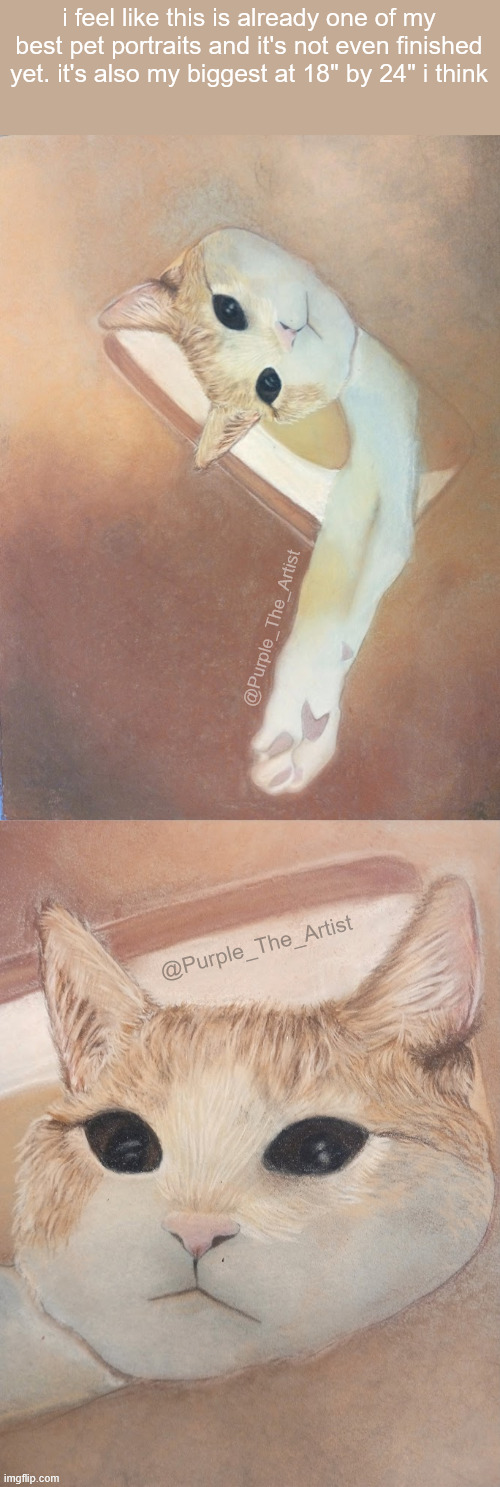 i feel like this is already one of my best pet portraits and it's not even finished yet. it's also my biggest at 18" by 24" i think; @Purple_The_Artist; @Purple_The_Artist | made w/ Imgflip meme maker