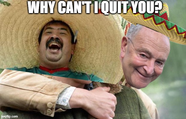 Brokeback Mountain | WHY CAN'T I QUIT YOU? | image tagged in brokeback mountain | made w/ Imgflip meme maker