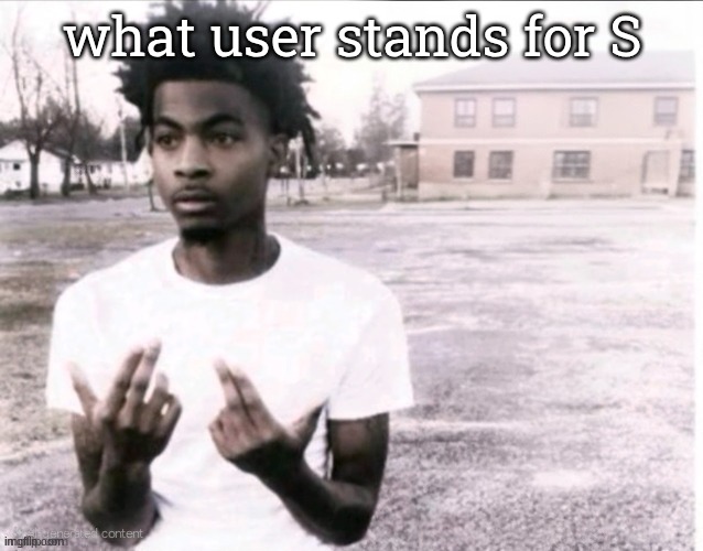 + | what user stands for S | image tagged in sybau free | made w/ Imgflip meme maker