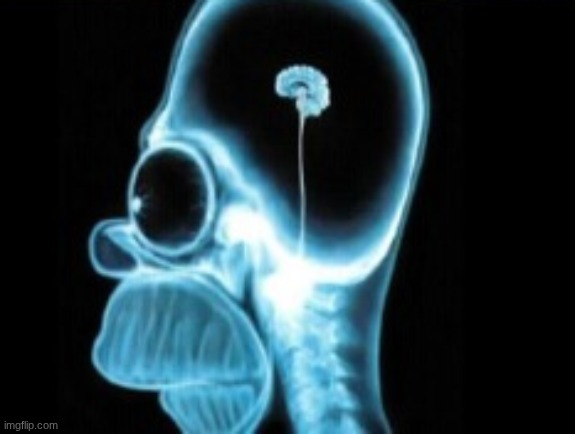 Very small brain | image tagged in very small brain | made w/ Imgflip meme maker