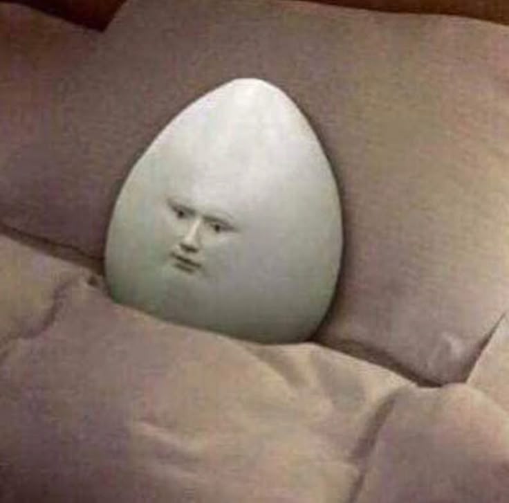 Egg in bed Blank Meme Template