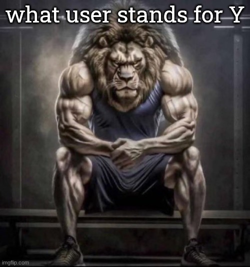 Buff lion sitting | what user stands for Y | image tagged in buff lion sitting | made w/ Imgflip meme maker