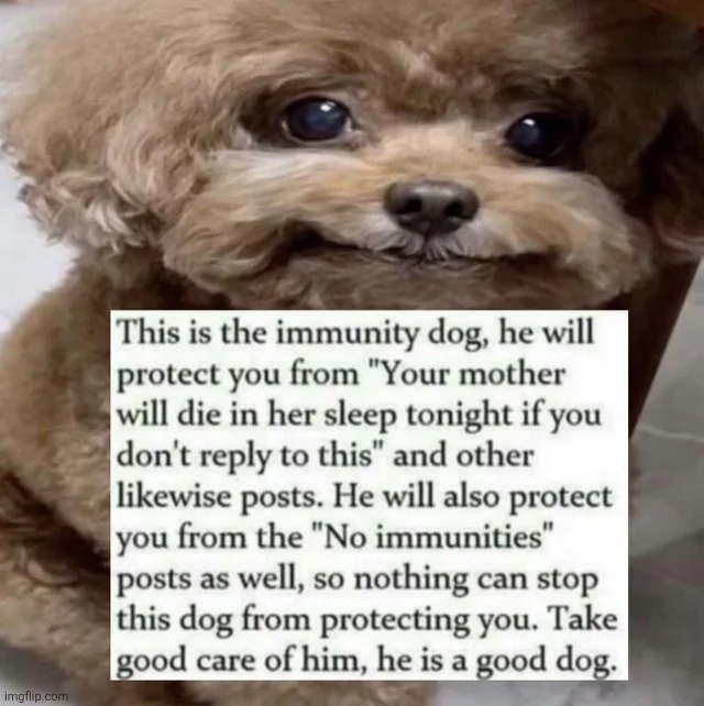 Immunity dog | made w/ Imgflip meme maker