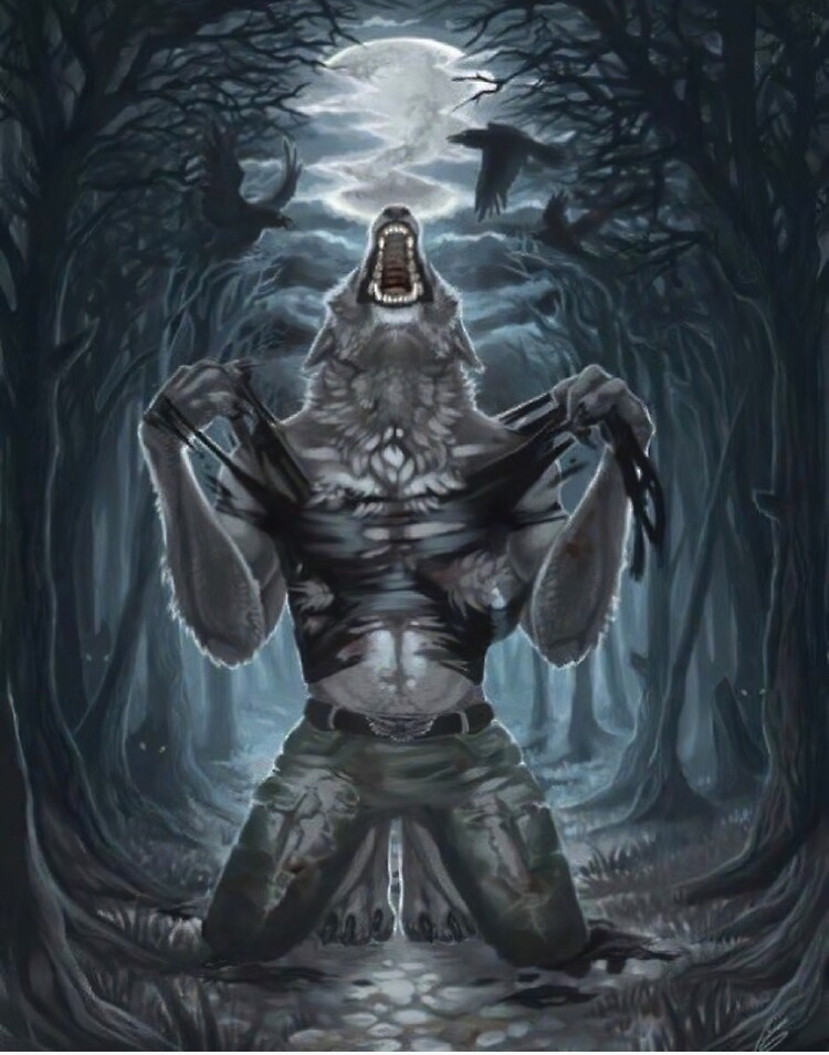how bro felt after saying that wolf Blank Meme Template