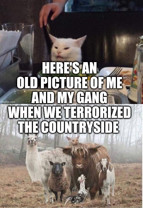 HERE'S AN OLD PICTURE OF ME AND MY GANG WHEN WE TERRORIZED THE COUNTRYSIDE | image tagged in smudge that darn cat | made w/ Imgflip meme maker