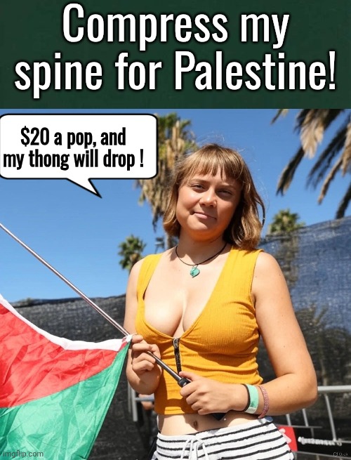 Grumpy Greta turning tricks for Palestine | Compress my spine for Palestine! $20 a pop, and my thong will drop ! | image tagged in greta thunberg,prostitute,palestine | made w/ Imgflip meme maker