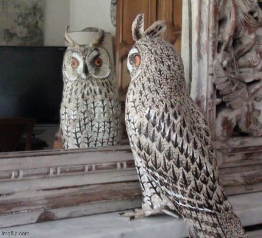 bird talks to himself | image tagged in bird talks to himself | made w/ Imgflip meme maker