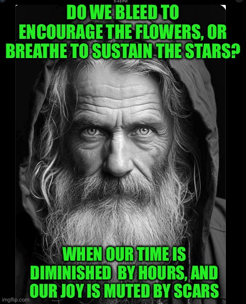 DO WE BLEED TO ENCOURAGE THE FLOWERS, OR BREATHE TO SUSTAIN THE STARS? WHEN OUR TIME IS DIMINISHED  BY HOURS, AND OUR JOY IS MUTED BY SCARS | image tagged in homeless | made w/ Imgflip meme maker