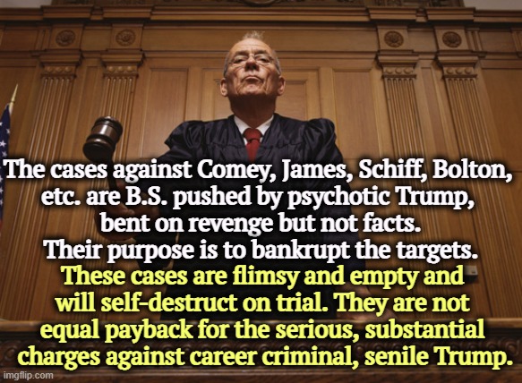 These retribution cases are thin, poorly argued and will collapse in the courtroom. | The cases against Comey, James, Schiff, Bolton, 
etc. are B.S. pushed by psychotic Trump, 
bent on revenge but not facts.
Their purpose is to bankrupt the targets. These cases are flimsy and empty and 
will self-destruct on trial. They are not 
equal payback for the serious, substantial 
charges against career criminal, senile Trump. | image tagged in judge with gavel as trump loses yet another court case,trump,revenge,retribution,childish,toddler | made w/ Imgflip meme maker