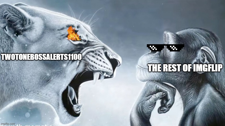 TwoToneBossAlerts1100 | TWOTONEBOSSALERTS1100; THE REST OF IMGFLIP | image tagged in angry lion vs chill monkey | made w/ Imgflip meme maker