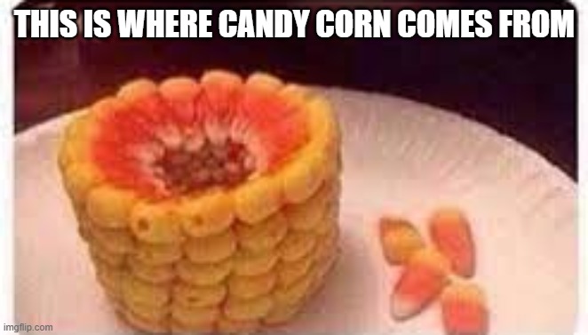 Did you know that this is where they get Halloween Candy Corn? | THIS IS WHERE CANDY CORN COMES FROM | image tagged in funny,halloween,candy corn,humor,candy,play on words | made w/ Imgflip meme maker