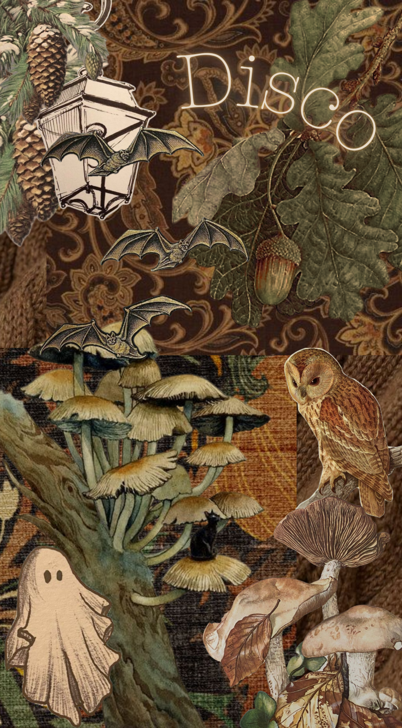 High Quality Disco's autumn temp Blank Meme Template