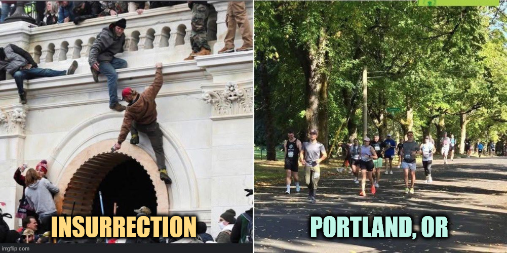 INSURRECTION; PORTLAND, OR | image tagged in trump,insurrection,capitol hill,portland,lies,gestapo | made w/ Imgflip meme maker