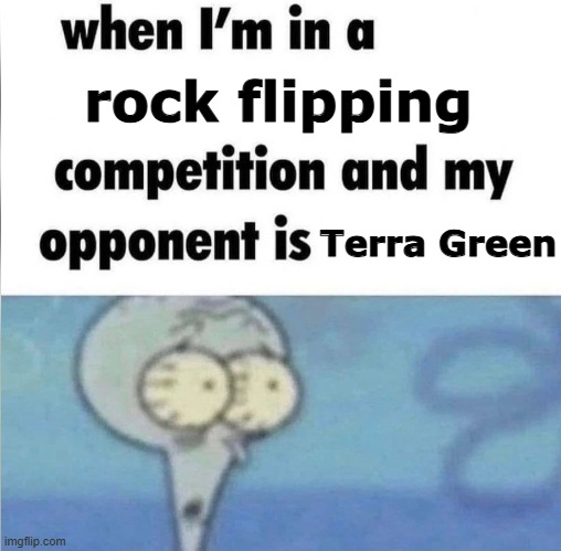 dang TG found tons of life underneath 'em | rock flipping; Terra Green | image tagged in whe i'm in a competition and my opponent is,memes,biology | made w/ Imgflip meme maker