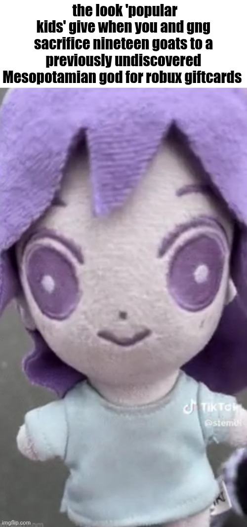 i'd put sumerian text here but imgflip can't render it :( | the look 'popular kids' give when you and gng sacrifice nineteen goats to a previously undiscovered Mesopotamian god for robux giftcards | image tagged in true story,plushie,aubrey,auby,omori | made w/ Imgflip meme maker